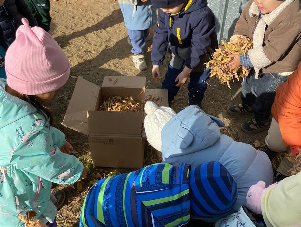 photo_5424971482640617039_y