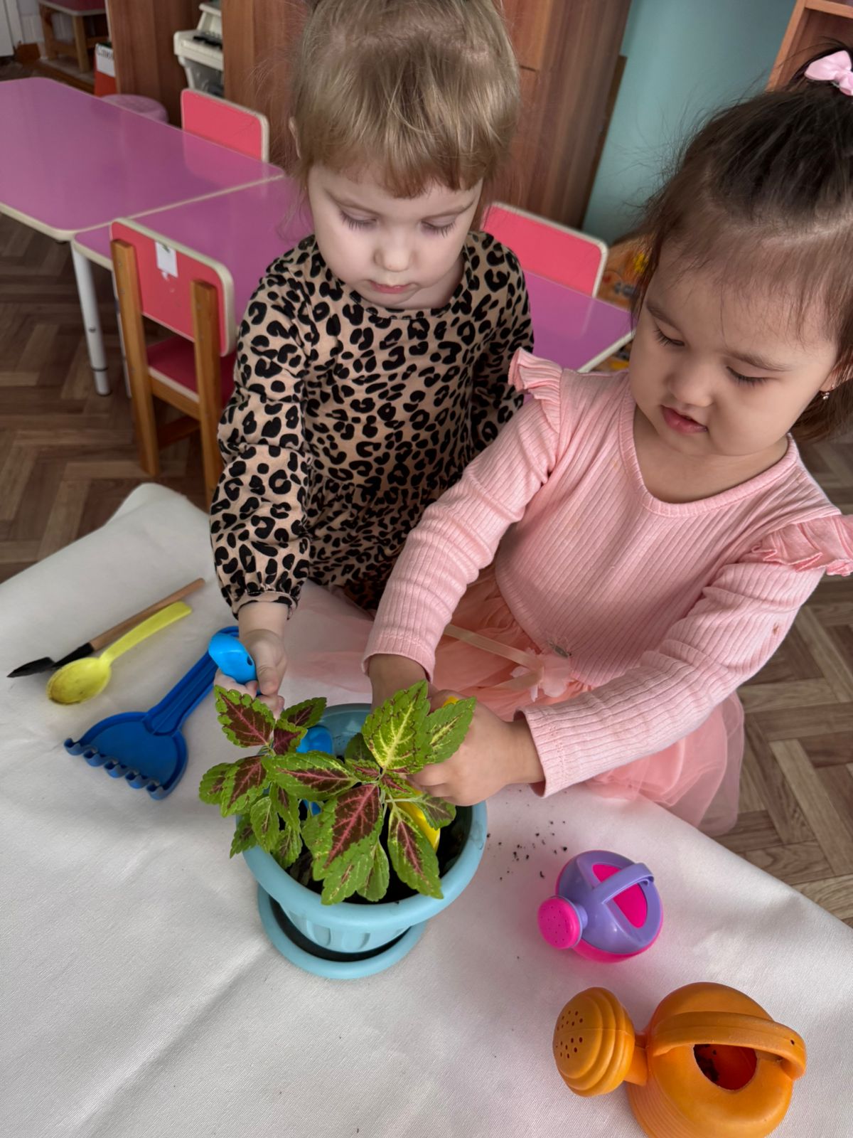 Экологическое воспитание 3